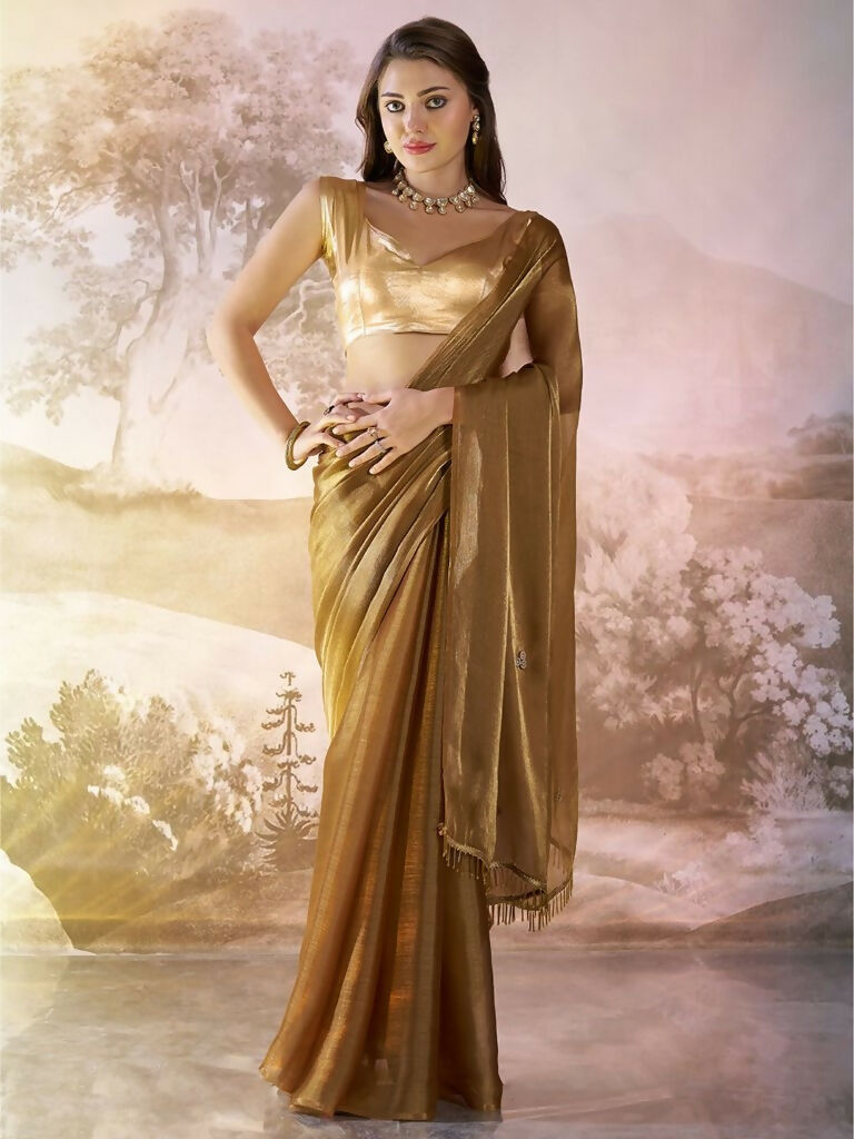 Brown Burberry Organza Solid Fancy Designer Saree - Nafisa