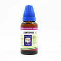 Father Muller Cantharis Mother Tincture Q