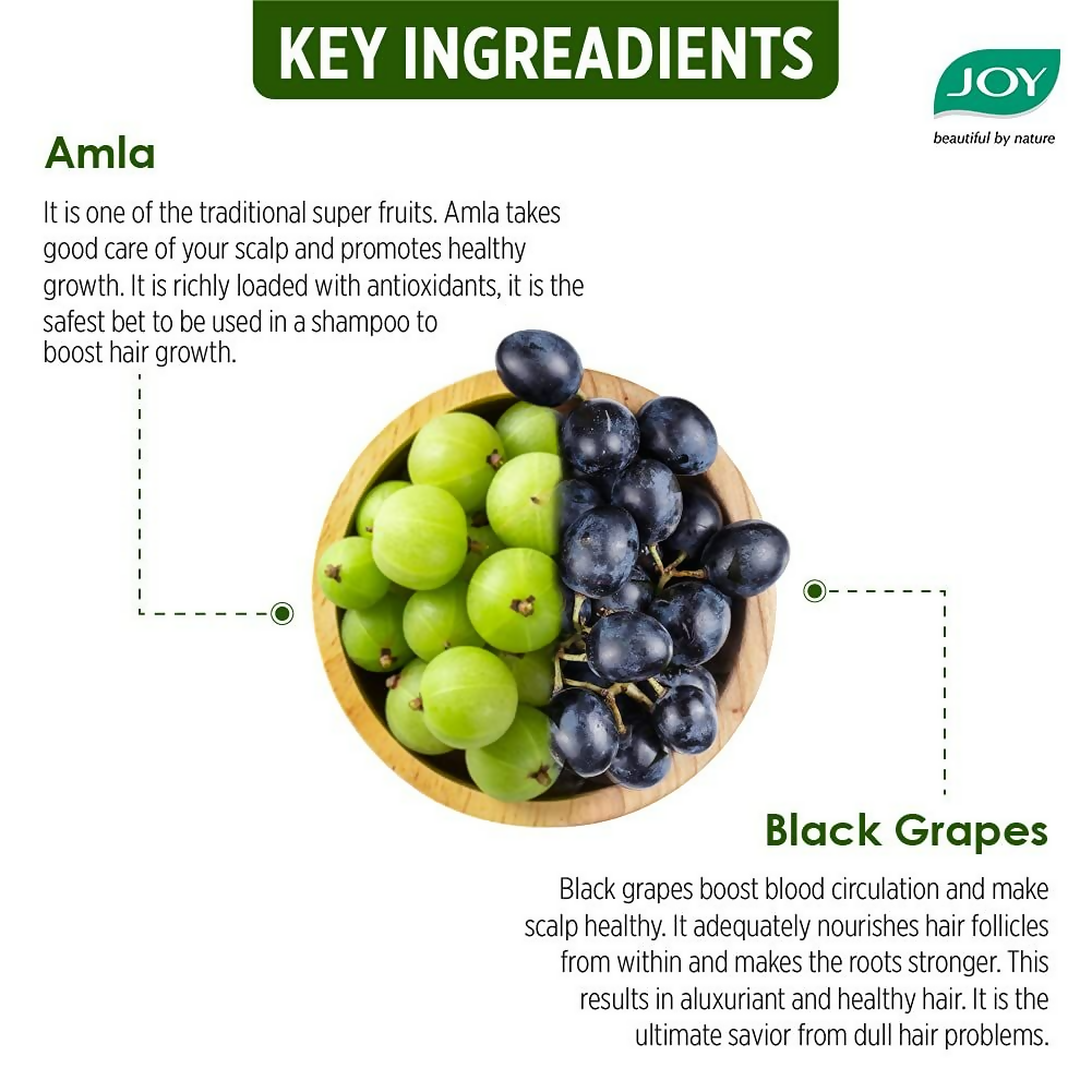 Joy Shining Black Amla Conditioning Shampoo