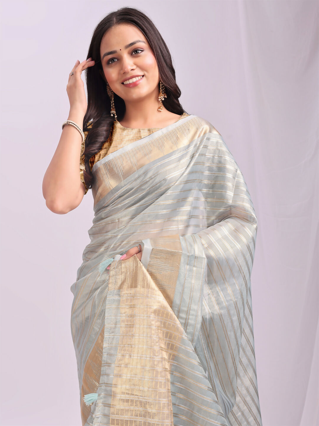 Shree Shyam Fashion Organza Sky Blue Saree