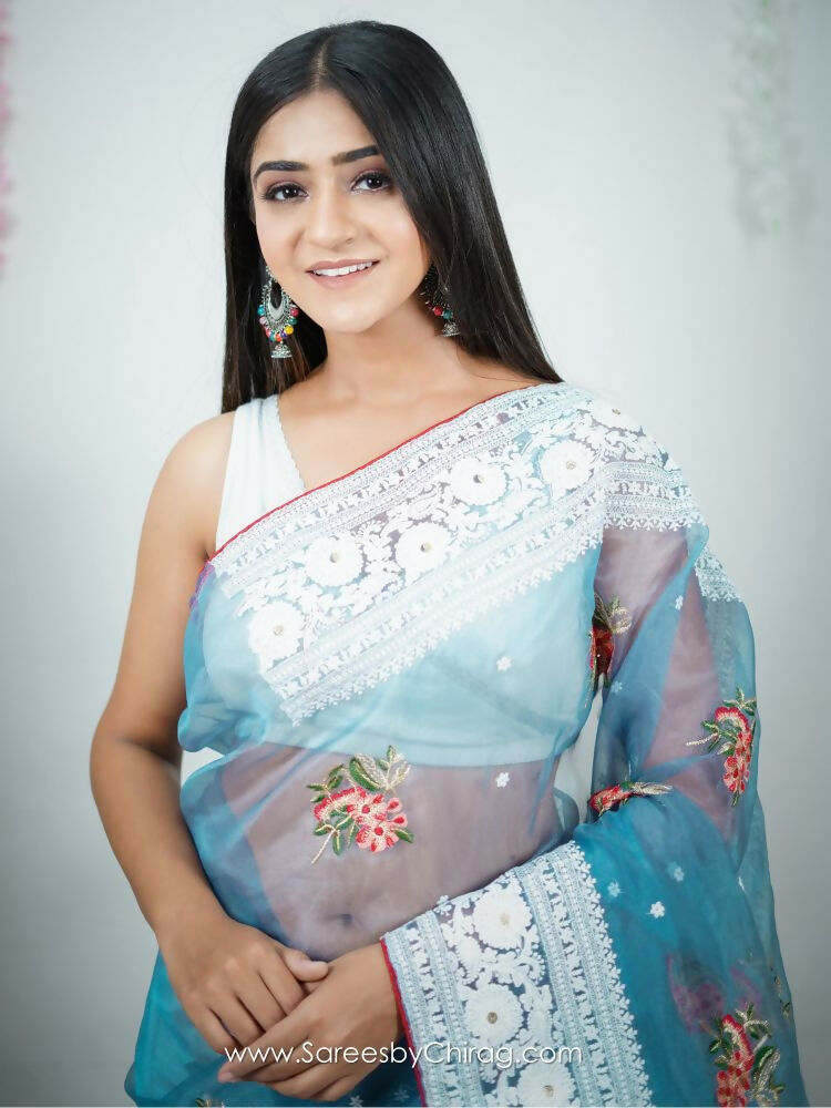 Vamsee Sambhuti Sky Organza Saree