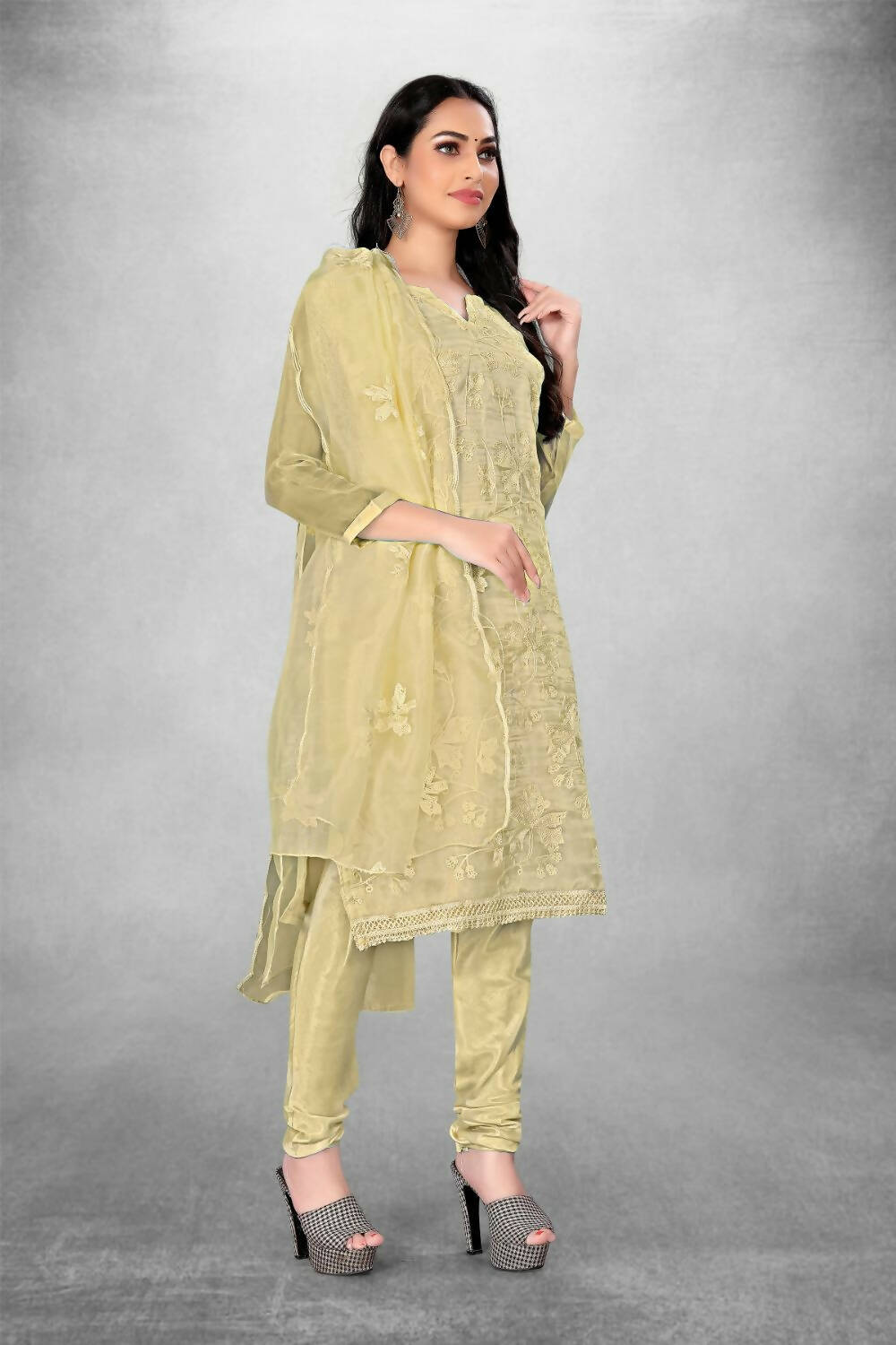 Beige Heavy Organza Silk Embroidered Unstitched Dress Material - Amara