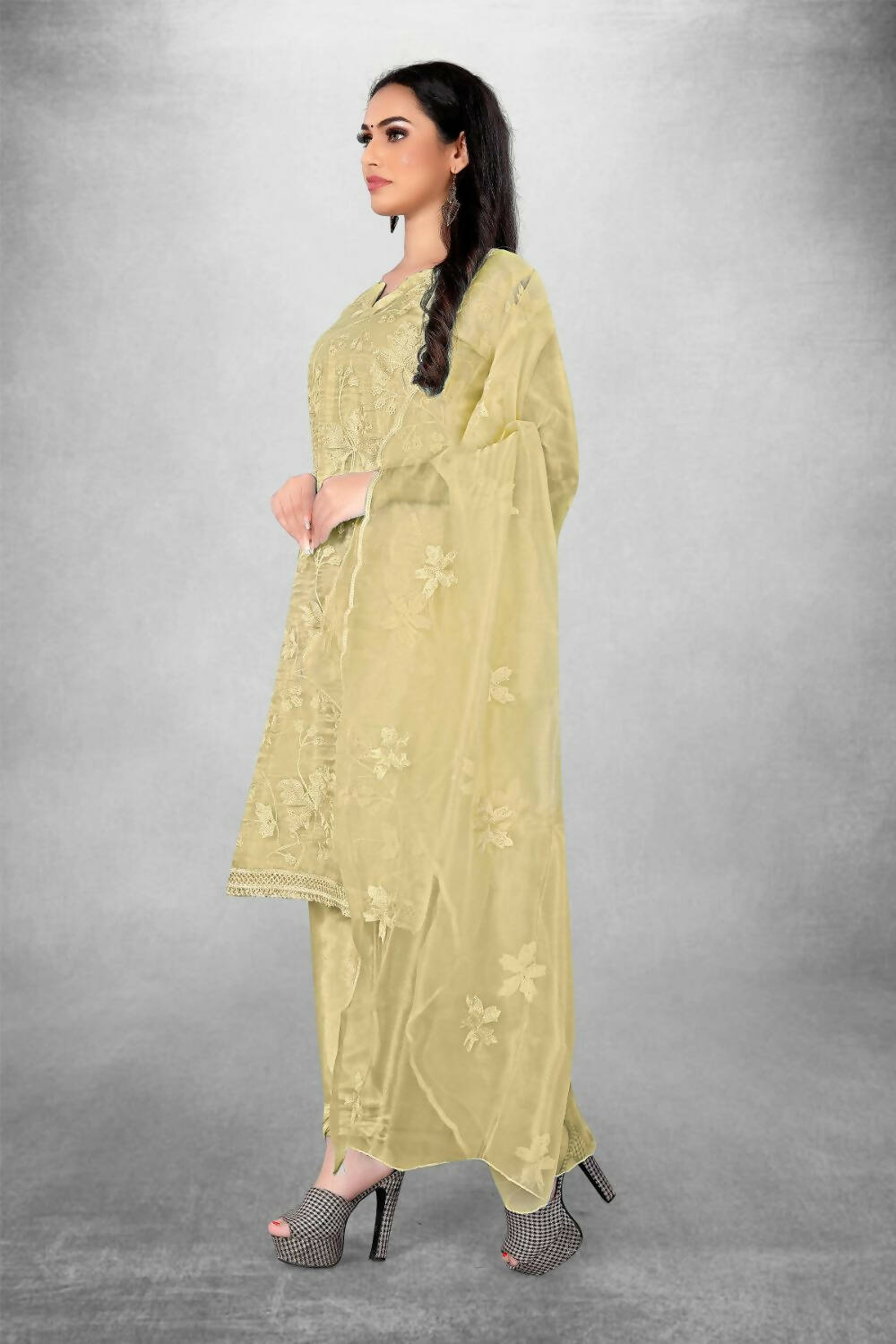 Beige Heavy Organza Silk Embroidered Unstitched Dress Material - Amara