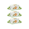 Planet Ayurveda Pitta Tea