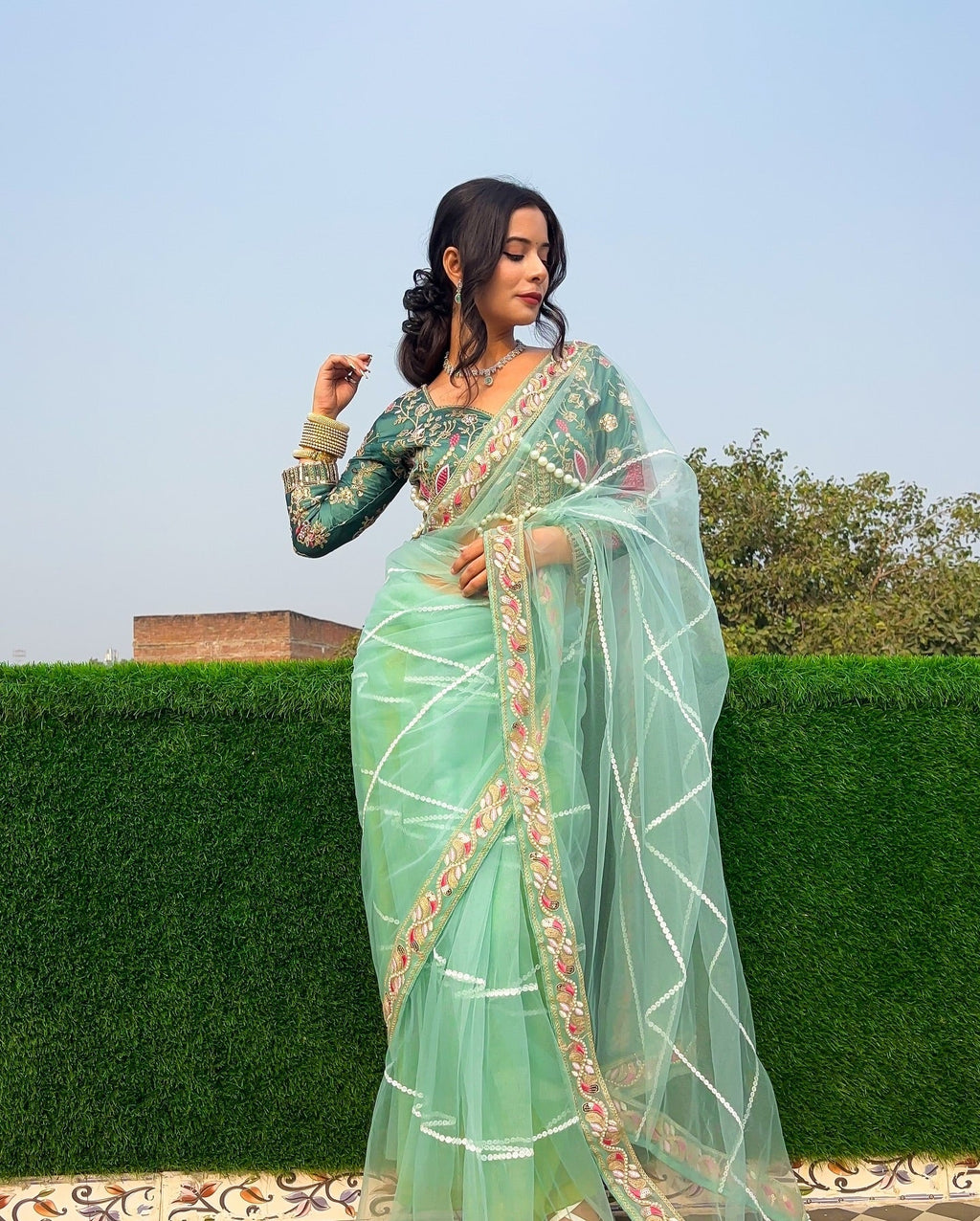 Evanik Pista Net Embroidery work Saree with Moti Hand work Blouse