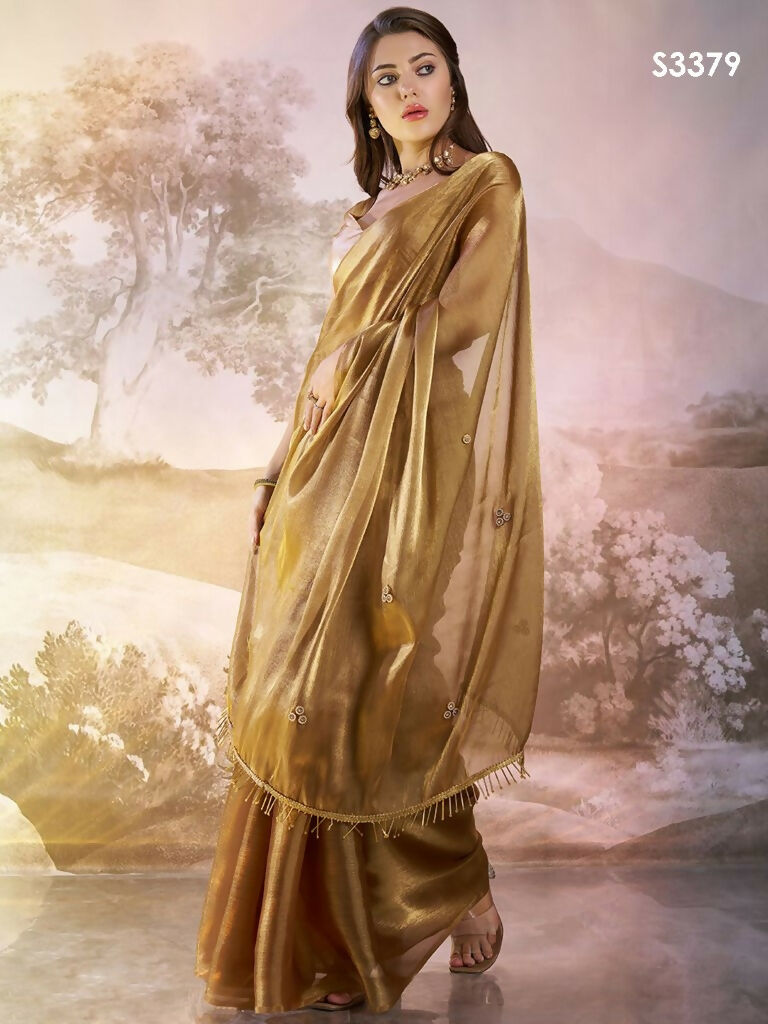 Brown Burberry Organza Solid Fancy Designer Saree - Nafisa