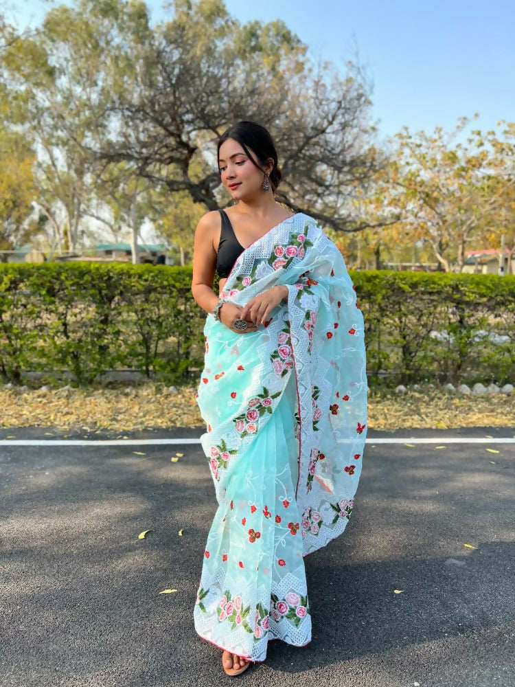 Vamsee Kamaljaal Sky Organza Saree