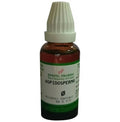 Hering Pharma Aspidosperma Mother Tincture Q