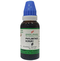 Hering Pharma Phylanthus Niruri Mother Tincture Q