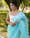 Vamsee Kamal Sky Organza Saree