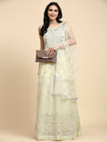 Yellow Net Hand Embroidered Gown - Rudrani