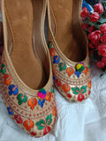 Desi Colour Women Indian Ethnic Footwear-Colour Wave