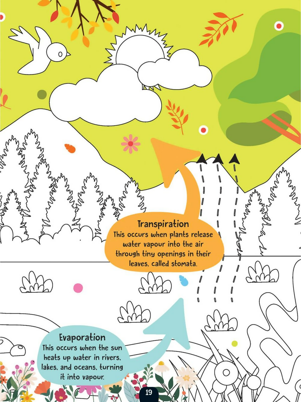 Dreamland Publications The Little Scientists Activity Book For Kids