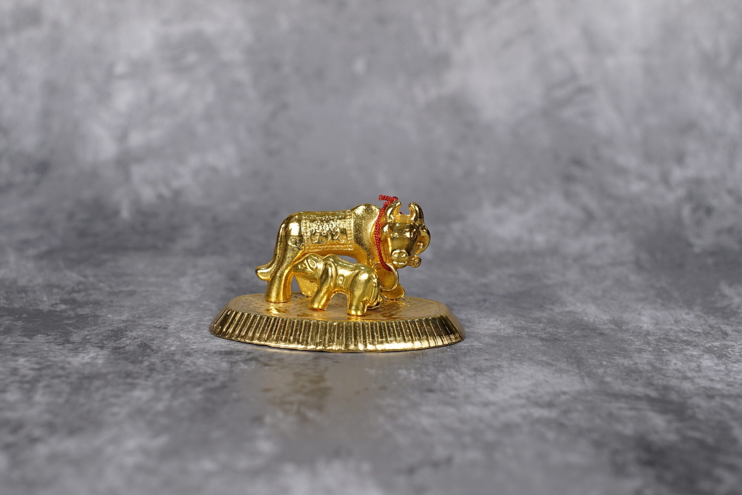 Sri Rudra Cow