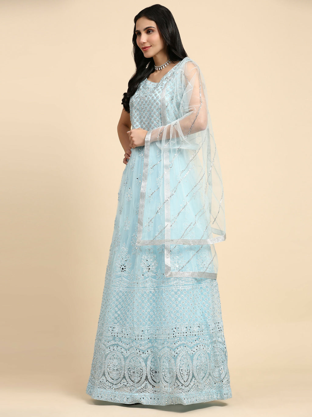 Blue Net Hand Embroidered Gown - Rudrani