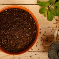 Gummadi Foods Podina Karam