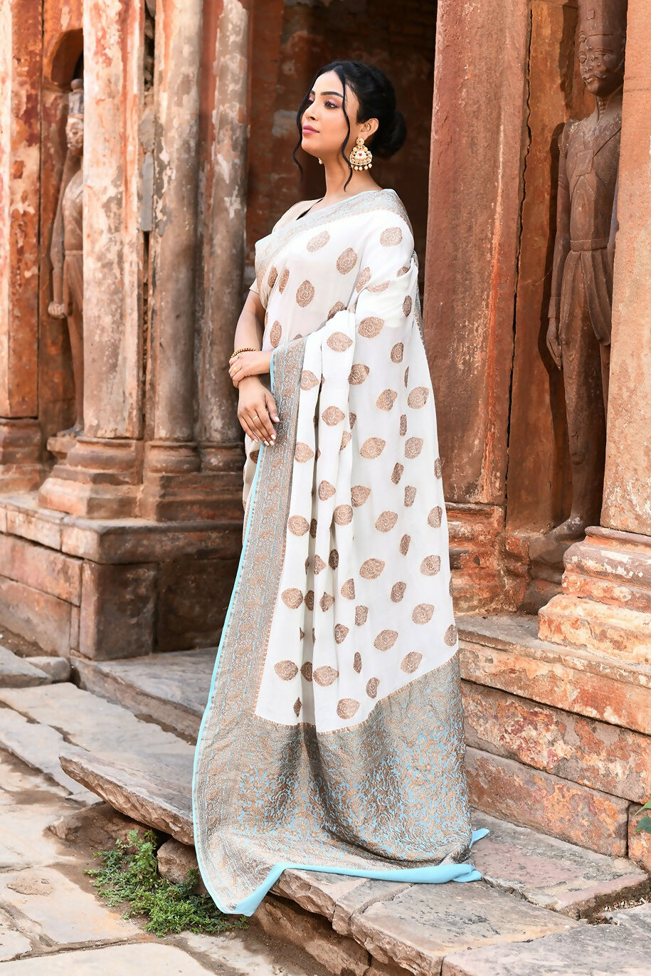 Joban Fashion Light Sky Blue Crepe Chiffon Pure Handloom Banarasi Silk Saree