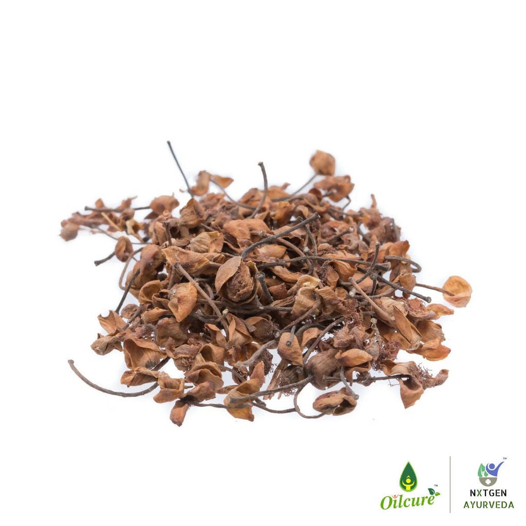 Oilcure Nagkesar