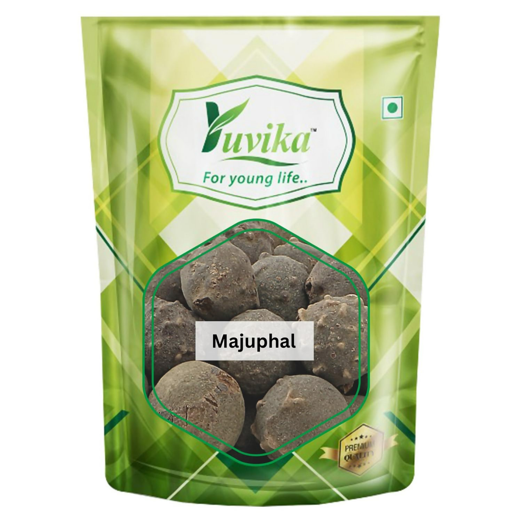 Yuvika Majuphal - Manjakani - Quercus Infectoria Oliv - Dyer's Oak - Gall Nuts
