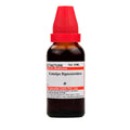 Dr. Willmar Schwabe India Catalpa Bignonioides Mother Tincture Q