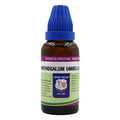 Father Muller Ornithogalum Umbellatum Mother Tincture Q
