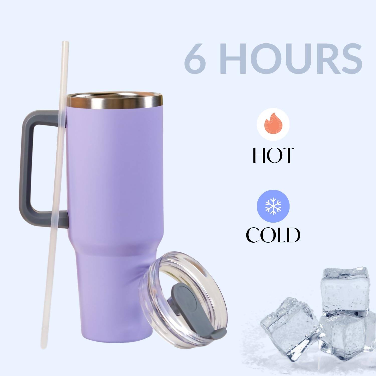 Nestasia Tumbler with Handle Straw & Lid - 1.2L (Purple)
