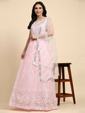 Pink Net Hand Embroidered Gown - Rudrani