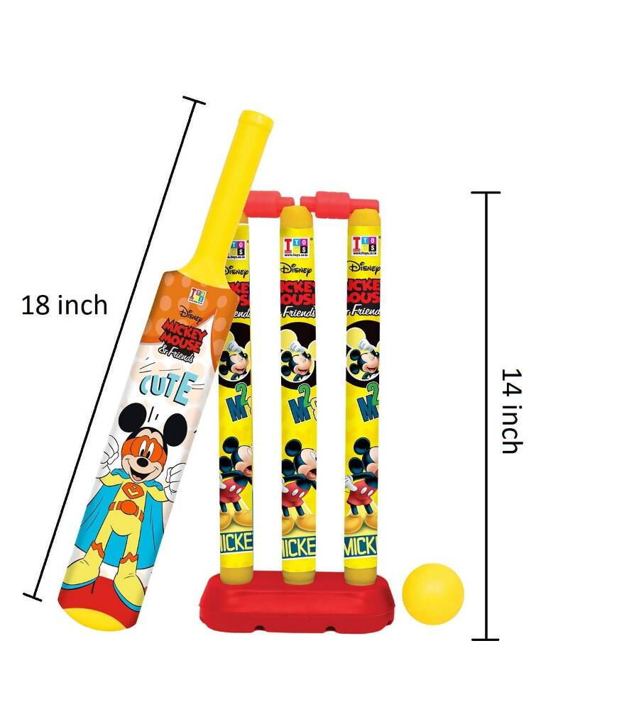 Manaki Enterprise Cricket Set For Kids