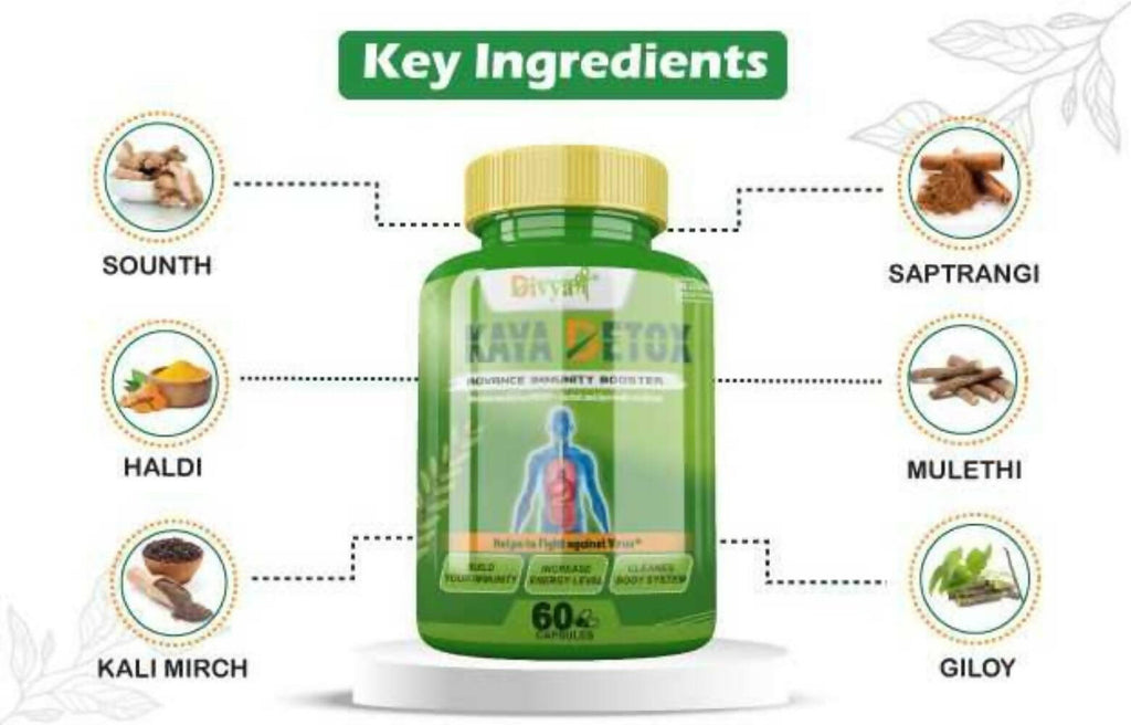 Divya Shree Kaya Detox Capsules