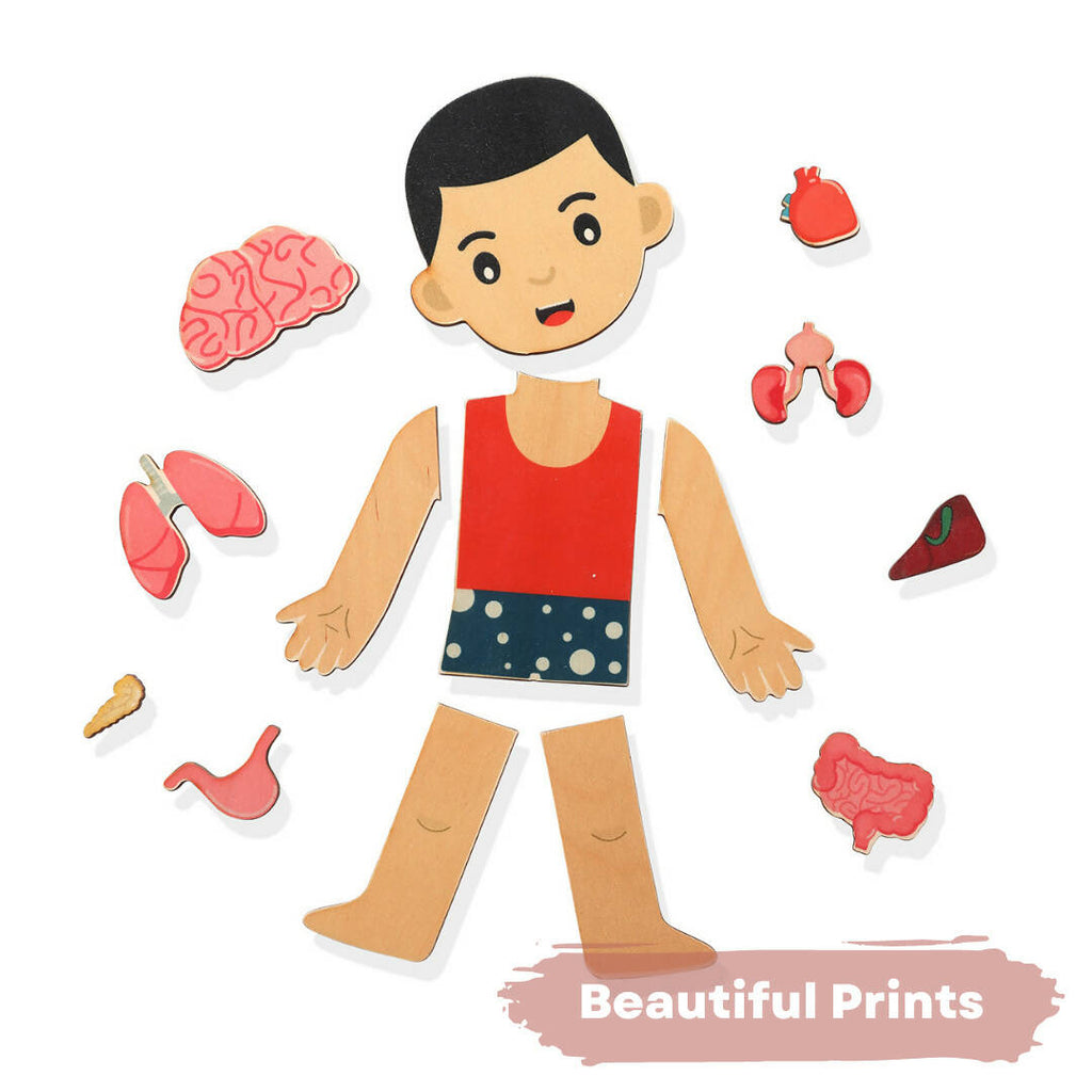 Nesta Toys Human Body | Internal Organs Wooden Puzzle