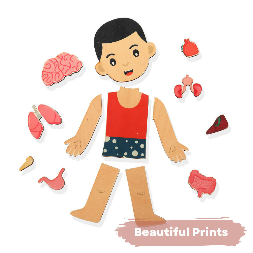 Nesta Toys Human Body | Internal Organs Wooden Puzzle