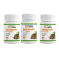 Gattumal Ayurveda Ashwagandha Tablets