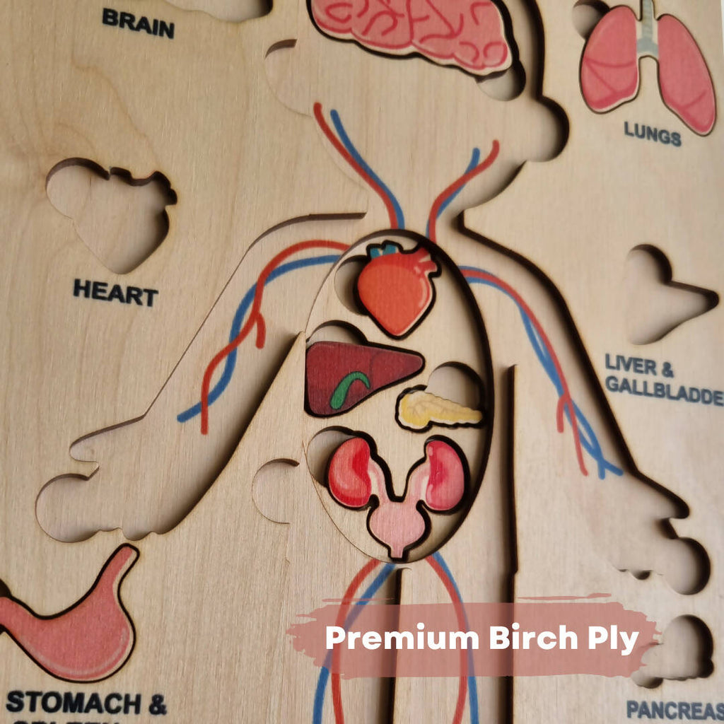 Nesta Toys Human Body | Internal Organs Wooden Puzzle