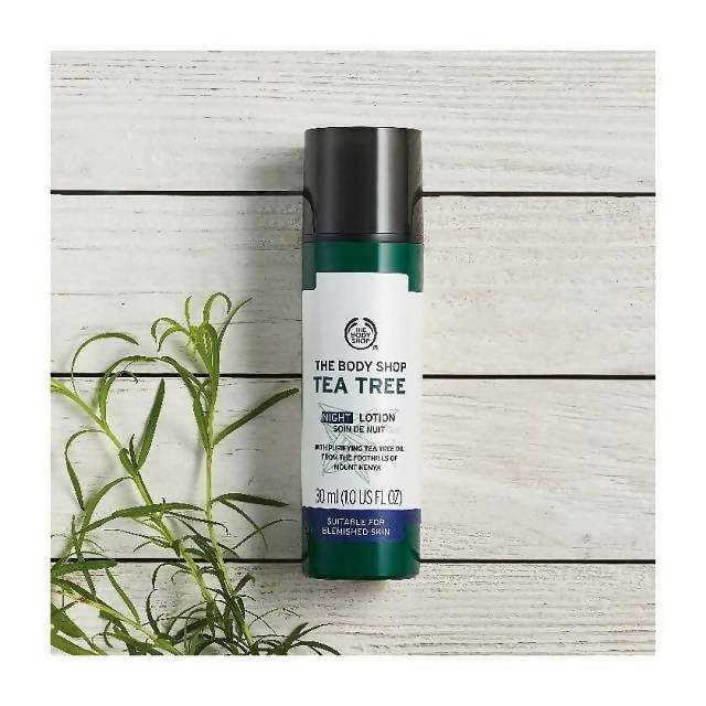 The Body Shop Tea Tree Night Lotion
