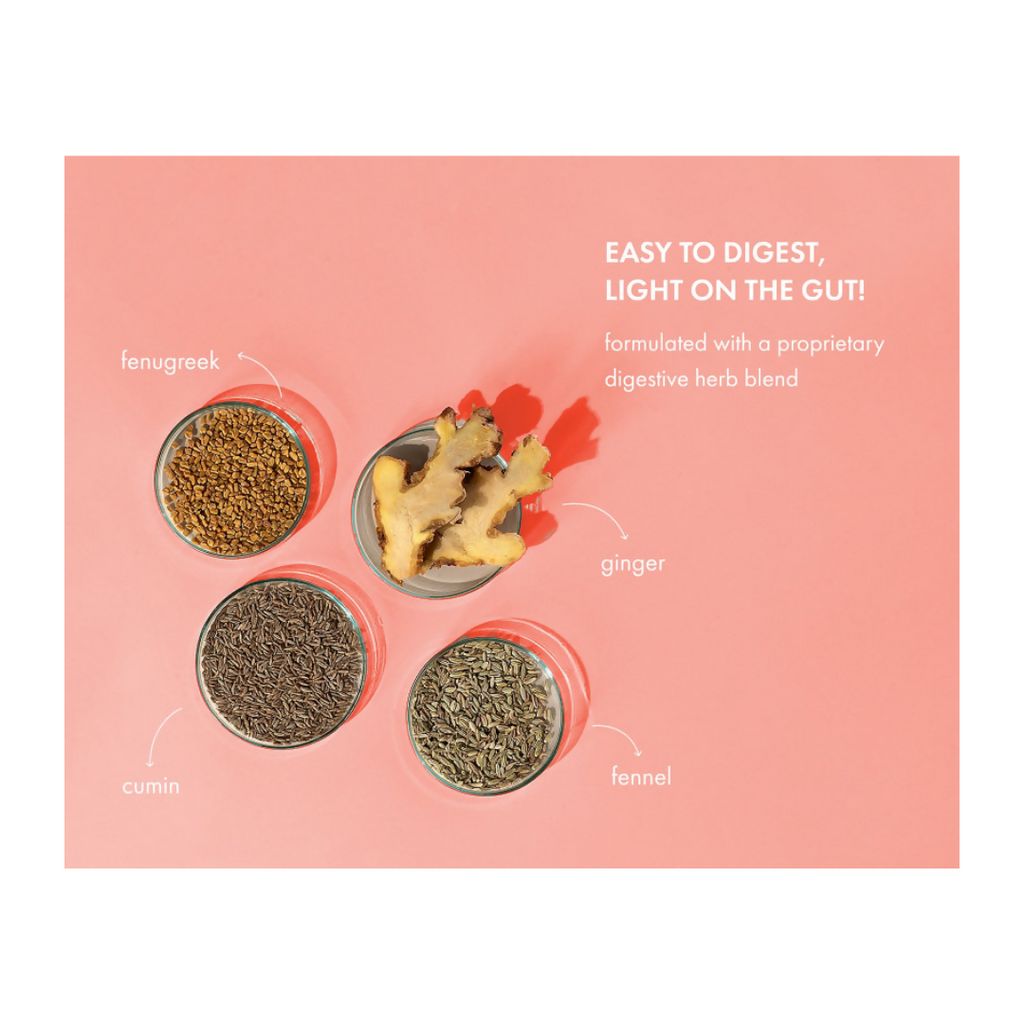 Cosmix No Nonsense Plant Protein Chilli Guava