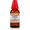 Dr. Willmar Schwabe India Caulophyllum Thalictroides Dilution