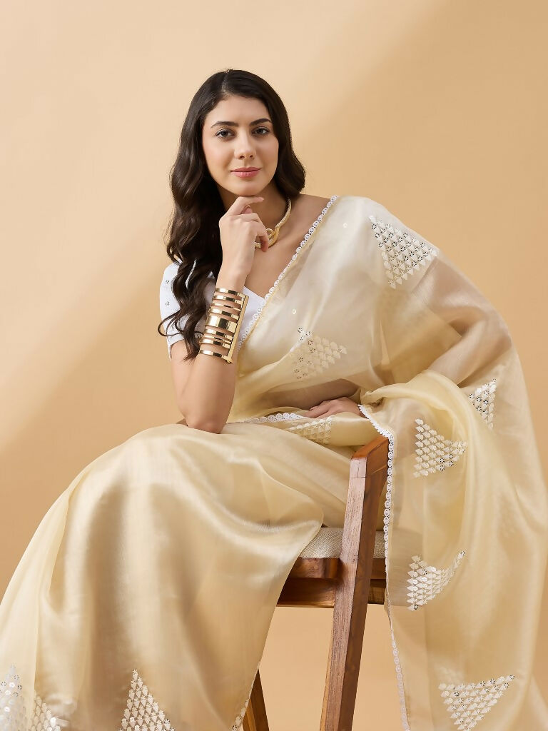 Yellow Tissue Slub Embroidered Saree with Unstitched Blouse - Vairagi