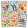 Dreamland Jumbo Pictionary Pack (6 Titles): Children Early Learning Book