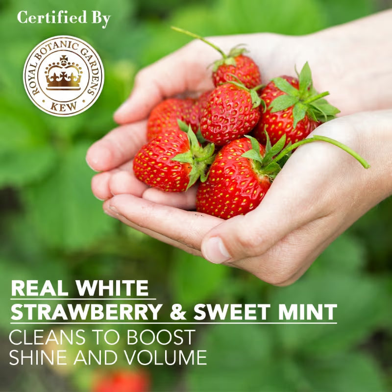Herbal Essences Clean White Strawberry & Sweet Mint Conditioner