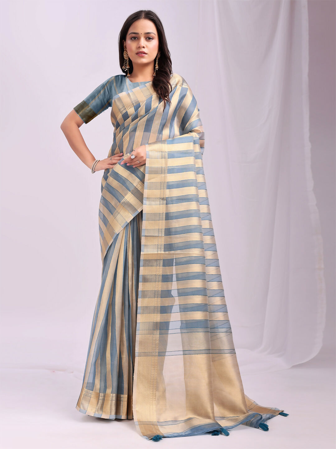 Shree Shyam Fashion Organza Sky Blue Saree