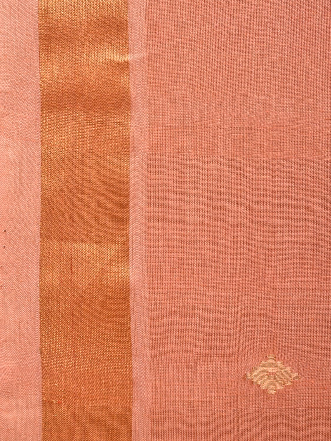 Fawn Uppada Cotton Handloom Saree with Assorted Pallu Design - Global Threads