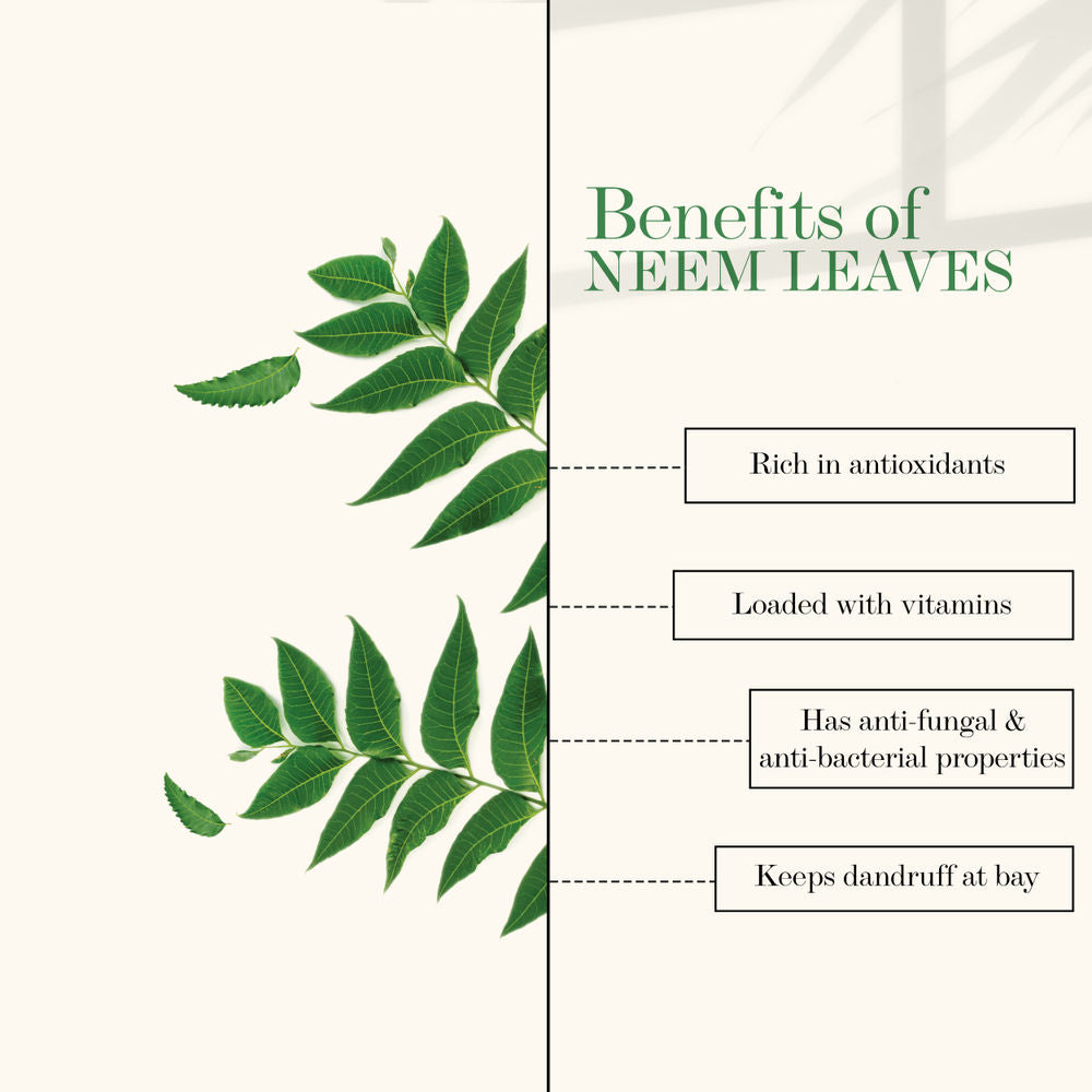 Good Vibes Neem Leaves 100% Pure Powder