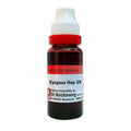 Dr. Reckeweg Epigaea Rep Mother Tincture Q