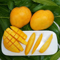 Banginapalli Mangoes / Benishan / Chappatai / Safeda / Badam Aam