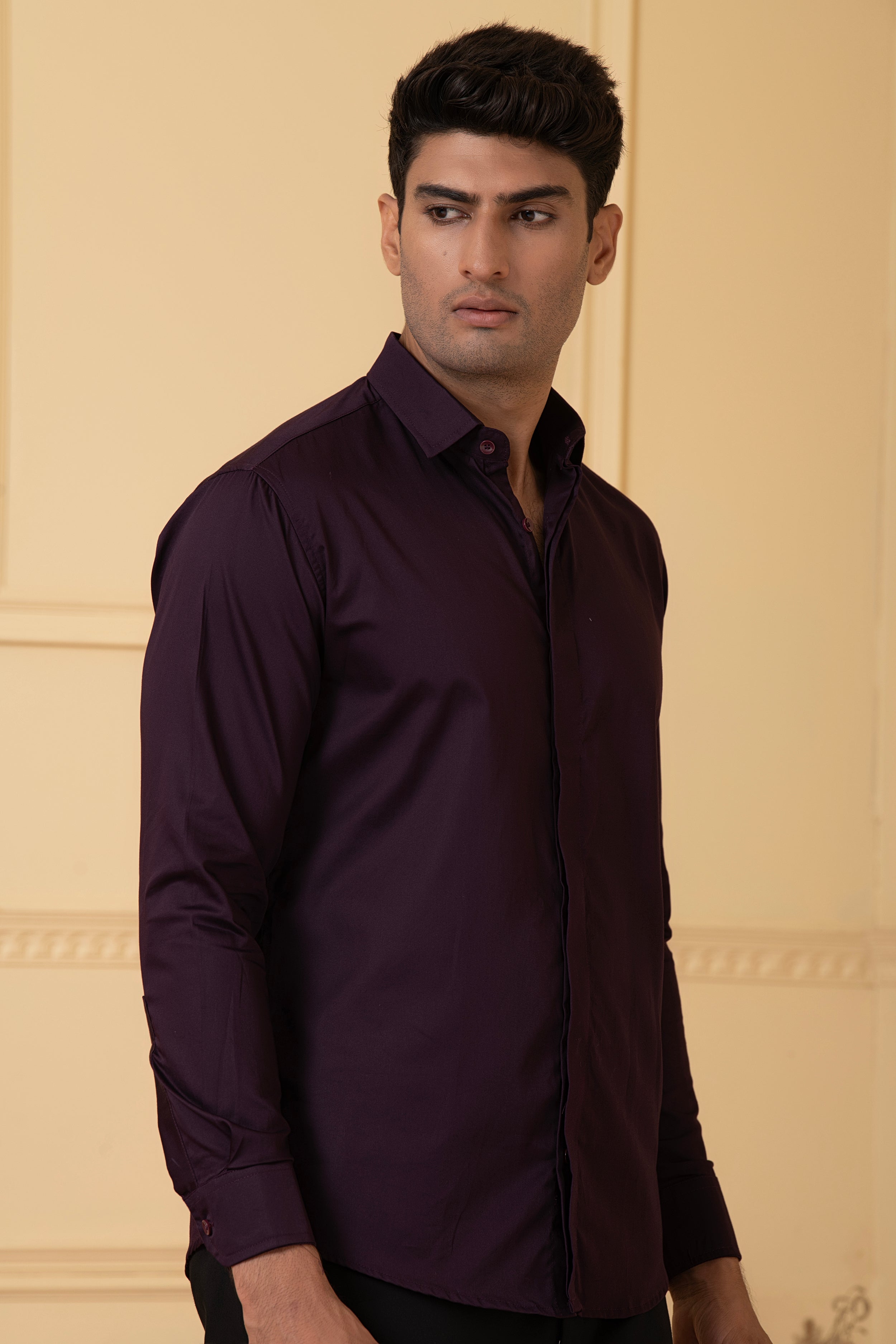 Solid Purple Plain Shirt by Hilo Design