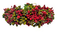 Green & Red Pollens Bridal Hair Gajra