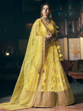 Wedding Designer Sequene Zari Resham Embroidery Yellow Net Lahengha Choli - Anbazaar