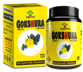 Trivang Gokshura Men's Wellness Capsules
