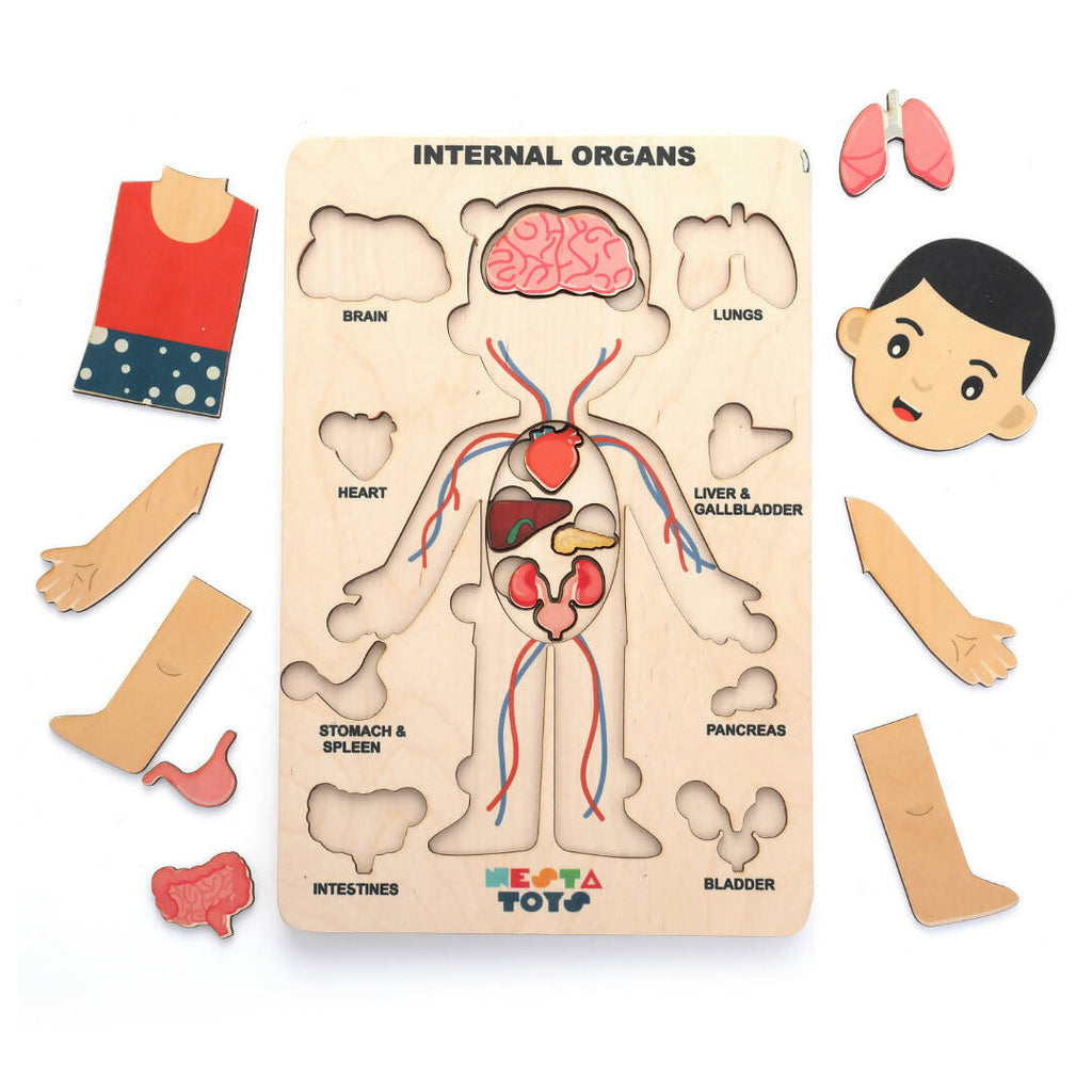 Nesta Toys Human Body | Internal Organs Wooden Puzzle