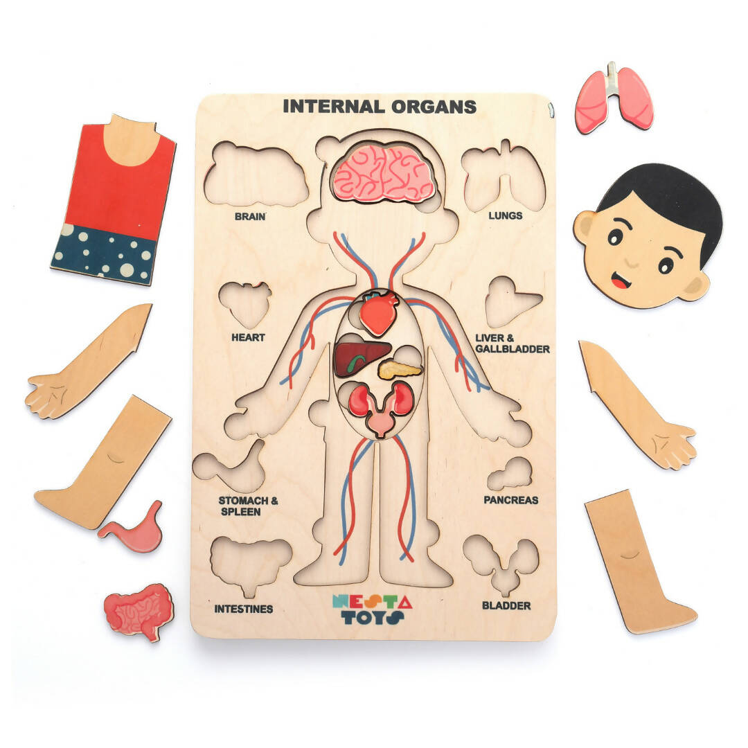 Nesta Toys Human Body | Internal Organs Wooden Puzzle